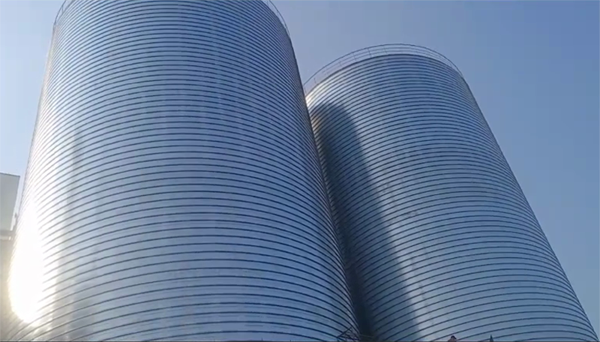 中牟2座混凝土高架卷板仓